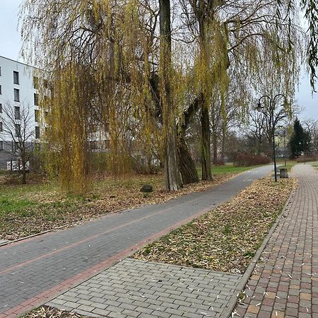Apartament Kosciuszki 33F Iława Exteriér fotografie